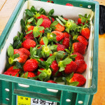 고당도 명품 프리미엄 청주 청원생명딸기 설향 농장직송 1Kg 30-35과 제철과일 : 푸른가