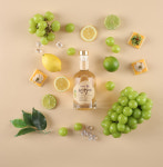 와인 만들기 키트, 샤인머스켓 와인, 포도와인 체험 : 힐링포도원