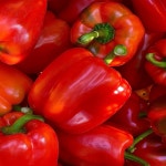 [GAP 프리미엄] 파프리카 빨강 주황 노랑 혼합 5kg 가정용 농장 피망 : 지제이팜 파프리카 농장