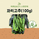 안 매운 꽈리고추(100g) : 푸른잎농산