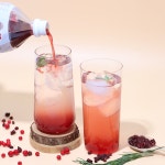 장수 오미자 엑기스 청 1.5L : 청정장수오미자영농조합법인