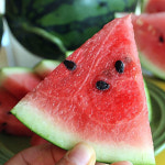 황금열매 꿀수박 하우스 왕수박 : 황금열매