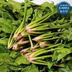 남해 시금치 노지 포항초 보물초 남해초 포항 비금 섬초 생 시금치 한단 1단 1kg 4kg : 우리바다농수산