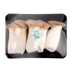 경동시장 새송이버섯 A급 국내산 500g, 1개 : 경동시장