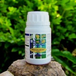 뿌리 발근제 삽목 뿌리 발근 촉진제 자극제 식물 영양제 활력제 파우더 가루 100g : 시네마트