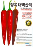 청복태백산맥 고추 1.200립 중조생종 극대과종 탄저병 역병 칼라병에... 수량성 건과품질 우수한 매운맛 고추 씨앗 다농 : 정산흥농종묘농약사