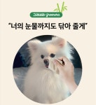 그리네라 환경 보호 먼지없는 무표백 대나무휴지 3겹12롤3입세트 : 건영그린플러스