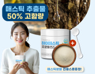 비타마루 매스틱 매스틱검 파우더 200g 2개월분 : 굿앤네이처
