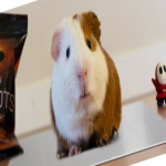 세모소 아기기니피그시원한판 강아지아이스 동물여름나기 알루미늄깔개 30x20cm 1개 : 세모소상인