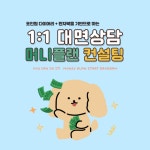 1:1 머니플랜 대면컨설팅 돈문제해결 지출구조개선 : 포인원문구