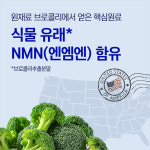NMN 리코어 30정 식약처 HACCP : 한오름바이오