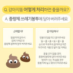 포더문 포레스트 생분해 배변봉투 6롤 90매 / 강아지 똥봉투 풉백 산책용품 똥츄 봉지 : 포더문
