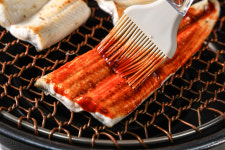 채움장어 국산 자포니카 풍천 민물장어 1kg 손질 후 600g 내외 : 채움장어