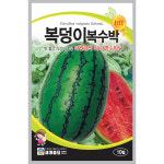 복덩이복수박 10립 / 과일 수박 씨앗 종자 텃밭키우기 주말농장 : 신세계식물병원