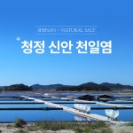 [청정 신안 국산 천일염] 2016년 생산 8년 동안 간수 뺀 소금 3kg, 1개 : 어업법인 해조식품