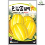 천상꿀참외 30립 / 과일 참외 씨앗 종자 텃밭키우기 주말농장 : 신세계식물병원