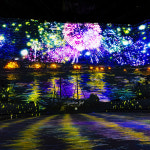 제주 노형수퍼마켙 +조안베어뮤지엄 +자연인족욕 +낙타트래킹 / 제주도 여행 실내관광지 : WEPICK