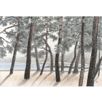 [홍순석 작품전] 남해 송정 해변 솔바람 / 수묵담채 25호 85x85cm 닥터비건갤러리 : 닥터비건 갤러리