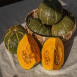 호박찰떡 20개입 1.8kg /영양떡 식사대용 개별포장 무설탕가능 : 민속식품명가