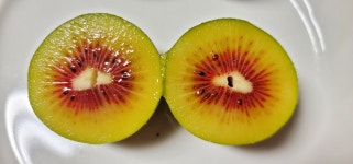 농장이필요해 제주도 제주 레드키위 황금향 청귤 귤 감귤 5kg 3kg 2kg 농장 산지직송 겨울과일 : 농장이 필요해