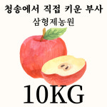 청송 삼형제농원 깨끗한 마른 기스 서리사과 얼음골 10kg, 1개 : 청송 삼형제농원
