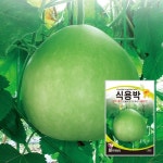 식용박 10립 / 나물박 씨앗 종자 텃밭키우기 주말농장 : 신세계식물병원