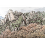 [홍순석 작품전] 설악로1번가 / 수묵담채 50호 115x80c m 닥터비건갤러리 : 닥터비건 갤러리