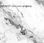 JUP 6617 : 뉴공감 정도타일