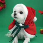 강아지옷 케이프 크리스마스 망토 SM : 코코마펫 애견편집샵