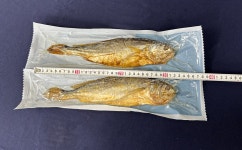 수림정에서 만든 구운 보리굴비 10미 개별진공포장 선물세트 전자레인지 조리 해썹인증 : 주식회사 수림굴비