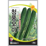 청풍오이 30립 / 씨앗 종자 텃밭키우기 주말농장 백침오이 : 신세계식물병원