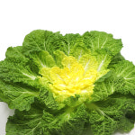 국내산 햇 봄동 배추 봄동 겉절이 김치 1kg 2kg : 농산물마루