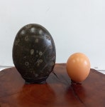 수석 좌대포함 자연석 애완돌 애완석 인테리어수석 돌키우기 이색수집 카페소품 반려돌 해석 : 토종식물농장