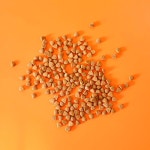 펫라벨 7H 세븐아워 강아지사료 어덜트 4.0kg(200g x 20ea) : 펫 라벨