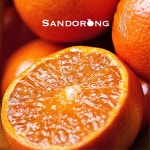 산도롱농장 제주 서귀포 명품 레드향 가정용 선물세트 : 제주산도롱농원