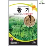 황기 300립 / 토종 씨앗 종자 텃밭키우기 주말농장 : 신세계식물병원