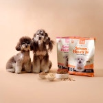 펫라벨 7H 세븐아워 강아지사료 어덜트 2.0kg(200g x 10ea) : 펫 라벨