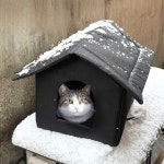 길고양이 겨울집 길냥이 고양이집 숨숨집 급식소 텐트 : 수요스토어