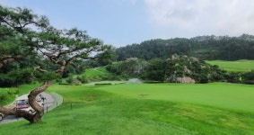 알프스대영CC : 세이브투어 인천