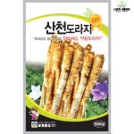 산천도라지 6000립 / 토종 도라지 씨앗 종자 텃밭키우기 주말농장 : 신세계식물병원
