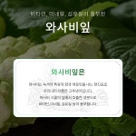 와사비잎추출물 이소비텍신 60정 이소비택신 ucp 와사비추출물 일본 단백질 이소티오시아네이트 와사비정 : 나다음