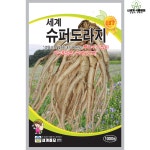 슈퍼도라지 1000립 / 토종 도라지 씨앗 종자 텃밭키우기 주말농장 : 신세계식물병원