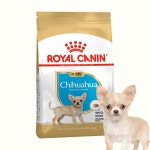 로얄캐닌 치와와 퍼피 500g : 몽슈 드 벨르