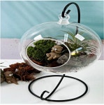 수달 비바리움 식물 만들기 비단 이끼 재배 가습기  키우기 1인세트 : 강민 만물상