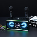 머레이 블루라인 블루투스 노래방기계 BLUE-LINE 듀얼 마이크 스피커 가정용 : 다온.DAON.