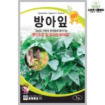 방아잎 1g / 씨앗 종자 텃밭키우기 주말농장 : 신세계식물병원