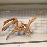 넘버링 선별 유목 _ 브런치 유목 H-032 : 라임펫아쿠아