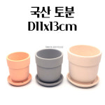 귀여운 미니컬러 도토리토분 D11x13cm 다육이화분 인테리어화분 토기화분 : 세븐바이