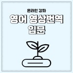 [온라인] 영어 영상번역 입문 : 더라인북스