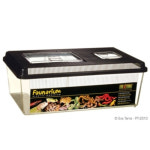 파충류 플랫홈 채집통 (대) 하겐 엑소테라 PT2310 : 파충류샵 드래곤브리딩센터